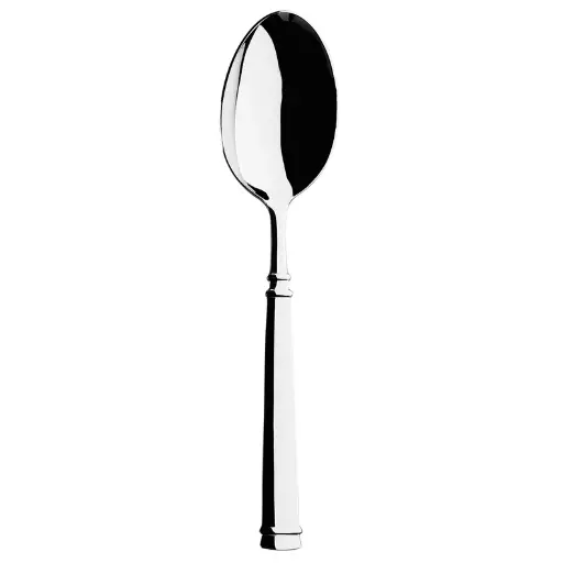 [126589] Degrenne ABSOLU MIRROR FINISH Serving spoon